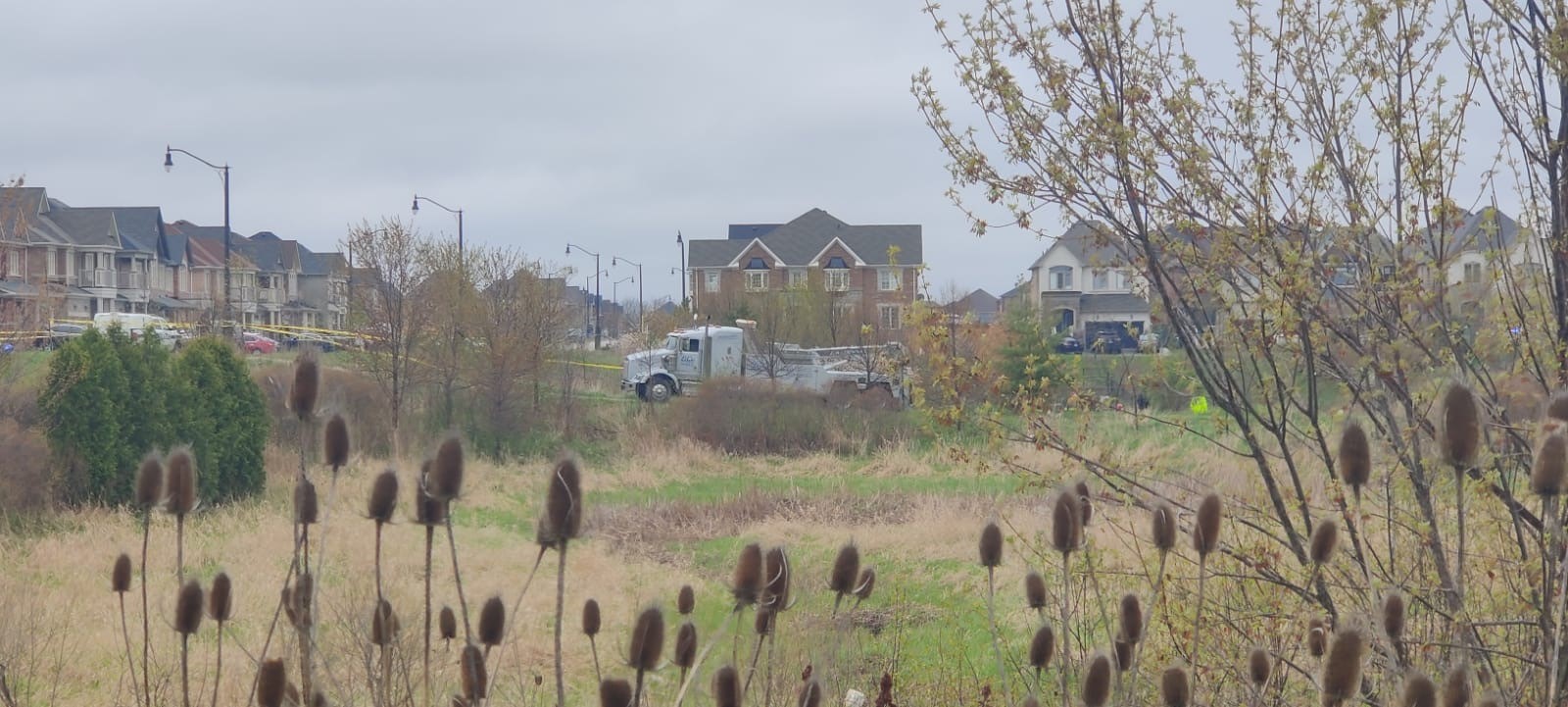 Car takes a splash in Brampton pond, police investigating