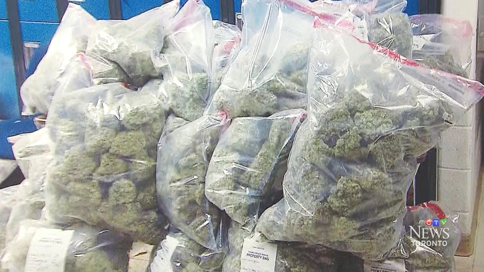 The growing drug trade among Punjabis in North America