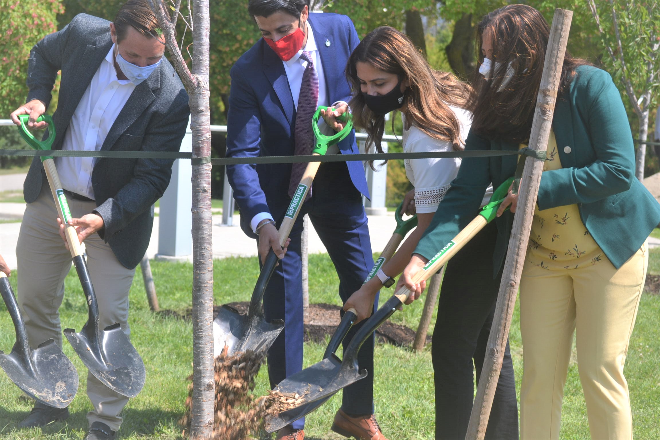 Brampton to boost the city’s tree canopy and help with climate change