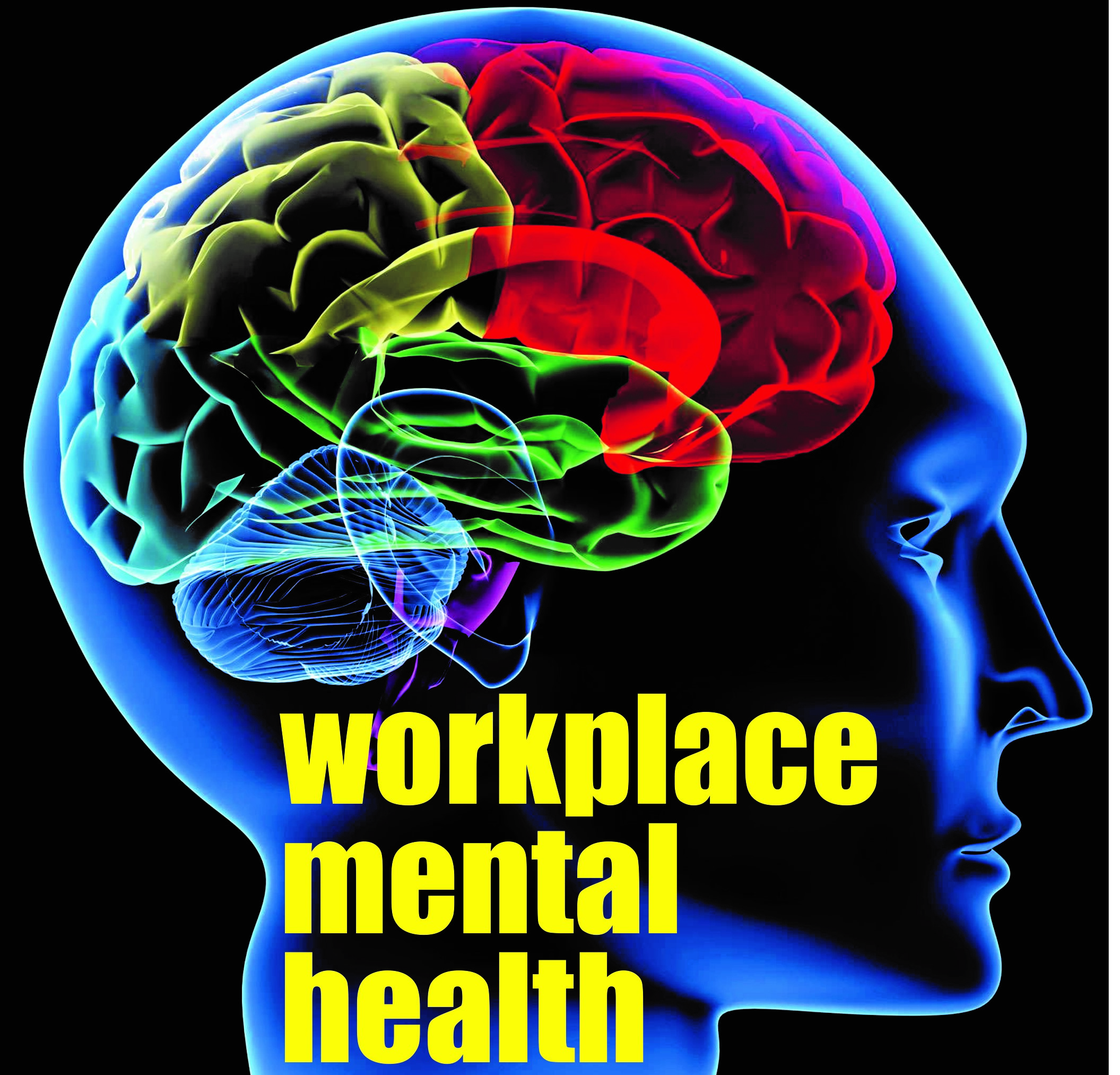 Playbook tackles action gap on mental health