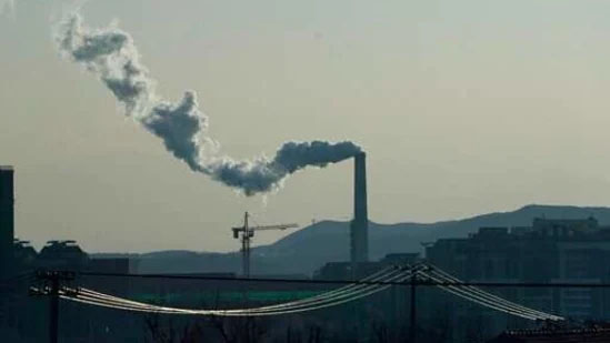 Climate change lowers nutrition and increases toxicity at base of food web: Study