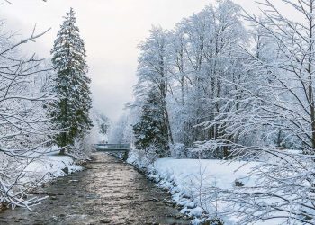 Avoid short term damages from excessive salt use