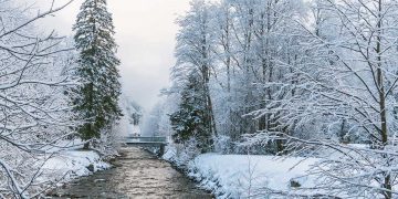 Avoid short term damages from excessive salt use