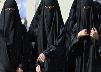 Court not properly assisted on Quran; hijab mandatory in Islam: Petitioner