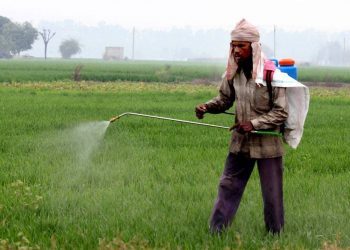 ‘Normalisation’ kicks off: Subsidy levels tapered, starting with food, fuel, fertilisers