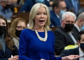 Conservatives elect Candice Bergen as interim leader