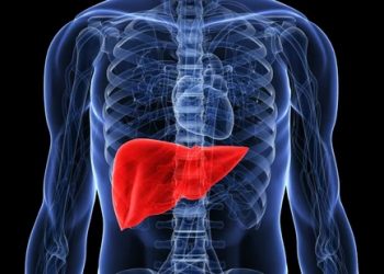 Can eating junk food cause liver cancer or fatty liver? Here’s what doctors say