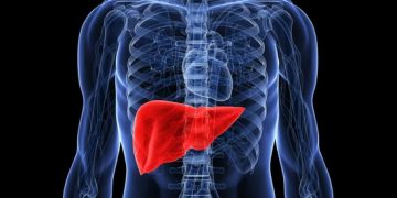 Can eating junk food cause liver cancer or fatty liver? Here’s what doctors say