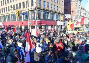 Canada govt says exploring all options to end Covid protest
