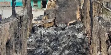 Birbhum Violence: BJP, TMC trade barbs, HC seeks report by tomorrow; 22 arrested so far | All you need to know