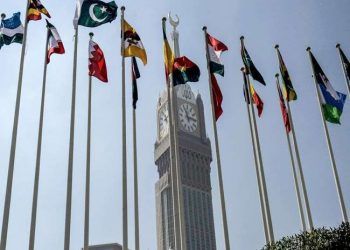 OIC irrelevant, Pakistan its manipulator, says India on Kashmir reference
