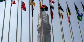 OIC irrelevant, Pakistan its manipulator, says India on Kashmir reference