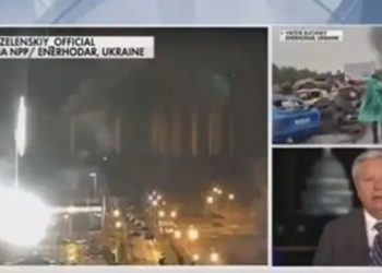 Watch: US Senator calls for Putin’s ‘assassination’ on live television