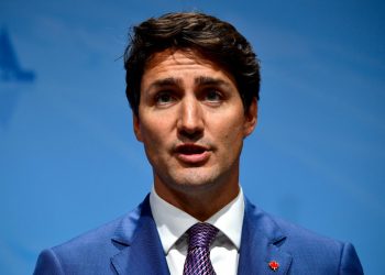 Trudeau urges Russia to stop military activities at Ukraine nuclear site