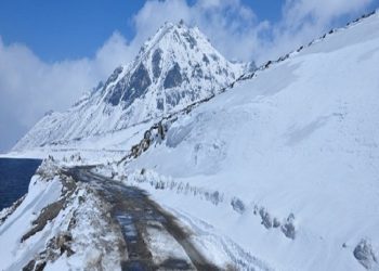 Chinese hackers target power grid near Ladakh twice, minister says ‘attacks failed’