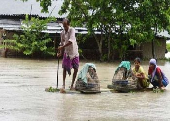 Assam Floods: 7 killed, over 2 lakh people affected across 24 districts of state | Top 10 points