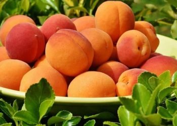Wonderful benefits of peach: Prevent seasonal allergies, constipation with Aadu