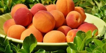 Wonderful benefits of peach: Prevent seasonal allergies, constipation with Aadu