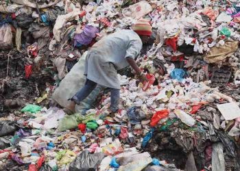 Government of Canada delivers on commitment to ban harmful single-use plastics