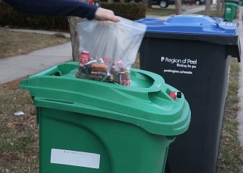 Peel’s fall battery pick-up is back